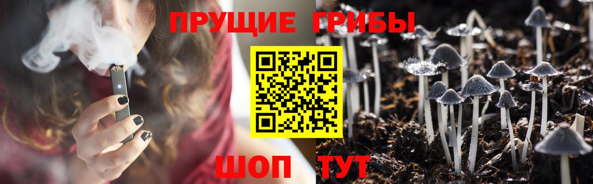 Псилоцибиновые грибы Psilocybe  Псилоцибиновые грибы GOLDEN TEACHER  Биробиджан  Вход с VPN 